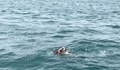 Александър Попов преплува Ламанша
