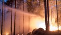 Пожар избухна в гората над Свети Влас