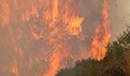 Голям пожар пламна на остров Закинтос