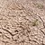 Чили преживява най-тежката суша от 60 години