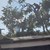 Момичета кацнаха върху дърво след инцидент с атракцион в Созопол