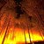 Десетки горски пожари бушуват в Гърция