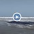 Местни жители в Перу избутаха във водата заседнал кит