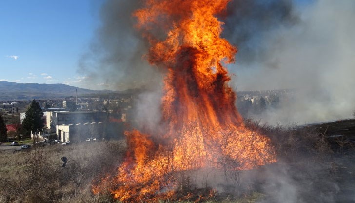 Има опасност огънят да се прехвърли и върху горски масиви, тъй като пламъците са с над 15 м височина и вече са обхванали близо 50 декара