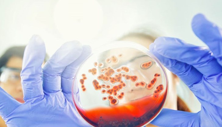 Това наблюдение е първата стъпка и за пръв път, доколкото ми е известно, че ХИВ е лечимо заболяване, коментира един от водещите автори на изследването Това наблюдение е първата стъпка и за пръв път, доколкото ми е известно, че ХИВ е лечимо заболяване, коментира един от водещите автори на изследването