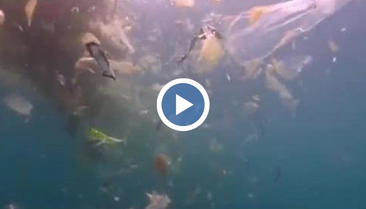 Пластмасовите отпадъци на половин Европа се изливат в морето