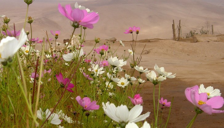 Феноменът е настъпил след силен дъжд Феноменът е настъпил след силен дъжд