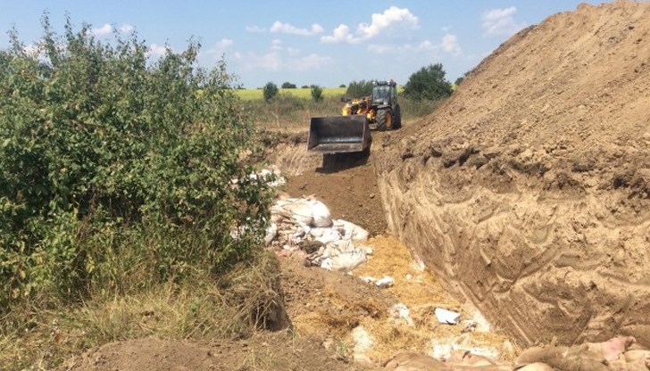 Буквално и преносно. Воня на мърша от заровените набързо избити прасета се носи в трептящата жега Буквално и преносно. Воня на мърша от заровените набързо избити прасета се носи в трептящата жега