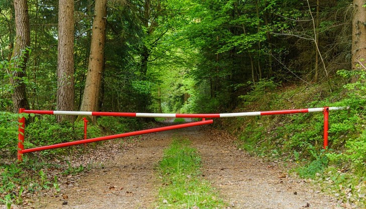 Регионална дирекция по горите забранява достъпа до инфектираните горски зони до 12 октомври