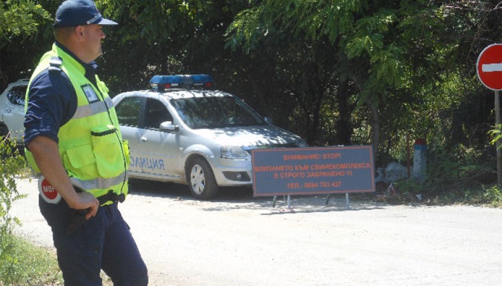 Приключи умъртвяването на животните в засегнатия свинекомплекс в село Българско Сливово Приключи умъртвяването на животните в засегнатия свинекомплекс в село Българско Сливово