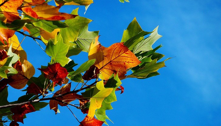 Едва в края на месеца температурите ще напомнят за есента