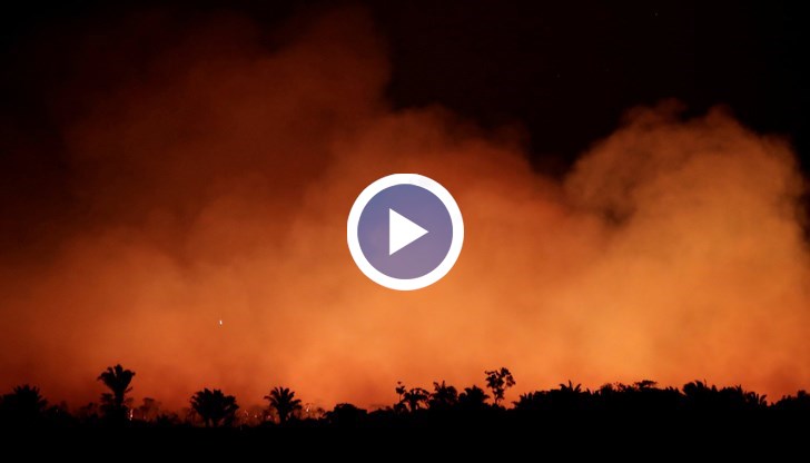 Пожарите, които опустошават Aмазонка, превърнаха деня в нощ