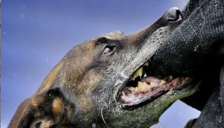 Млад мъж се е опитал да спаси момчето, но вместо това той също е пострадал