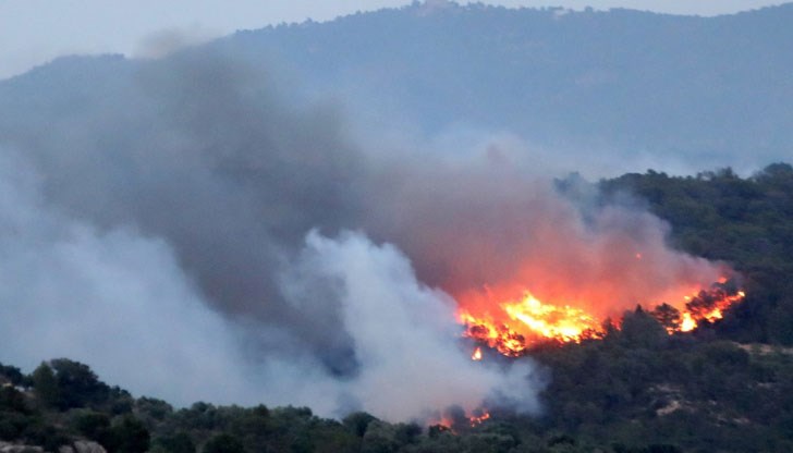 Пожар обхвана близо 500 декара сухи треви и широколистна гора край село Евренозово