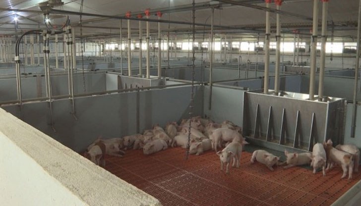 В Русенско вече са спрели работа заводите за производство на фуражи, защото няма животни за изхранване