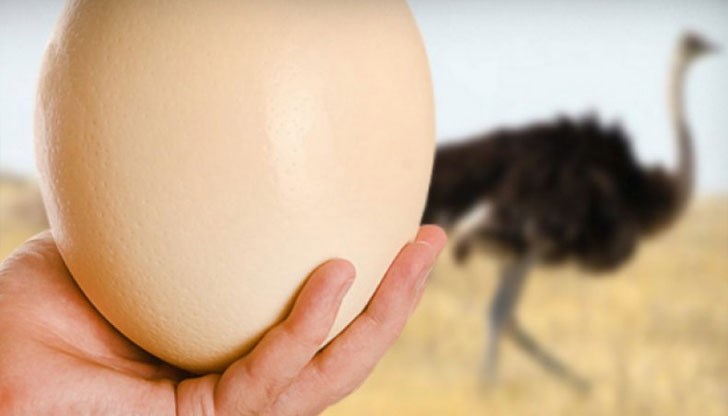 Находката е намерена по време на разкопки в централната провинция Чанкири в Турция / снимката е илюстративна /