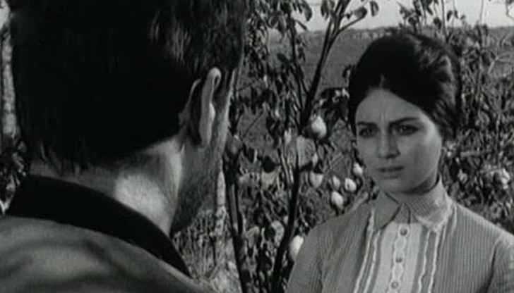 Идеята ще бъде осъществена във Великотърновско Идеята ще бъде осъществена във Великотърновско