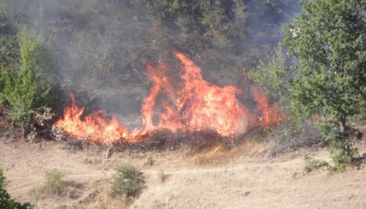 Това сочи справка в сайта на Националния институт по метеорология и хидрология