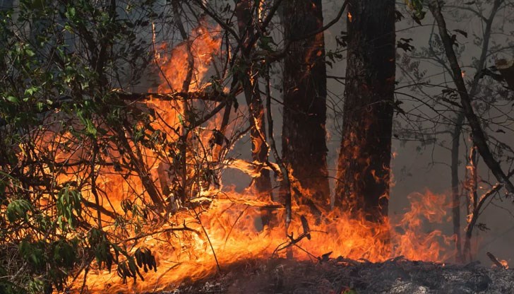 Екстремалният индекс означава, че са възможни бързо разпространяващи се много силни пожари с въвличане на дървесните корони