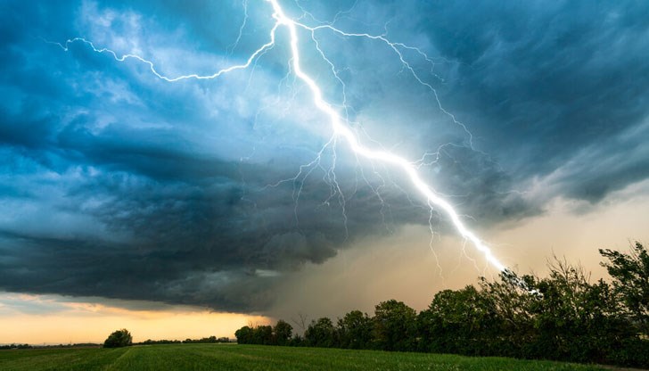 Загинали са седем животни