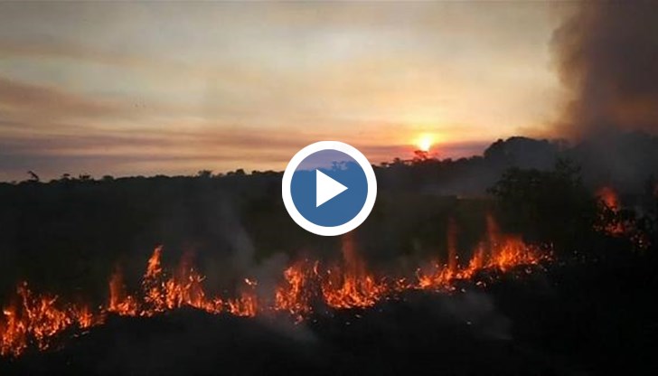 Бразилският президент изпрати армията да помага в за справяне с рекордния брой горски пожари