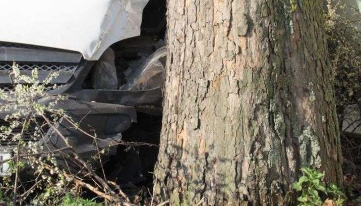 25-годишният мъж се е блъснал в дърво /Снимката е илюстративна/