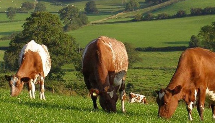 Правителството има намерение да въведе данък парникови газове