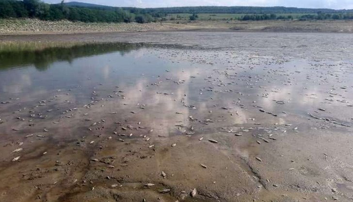 Гледката стряска местните жители