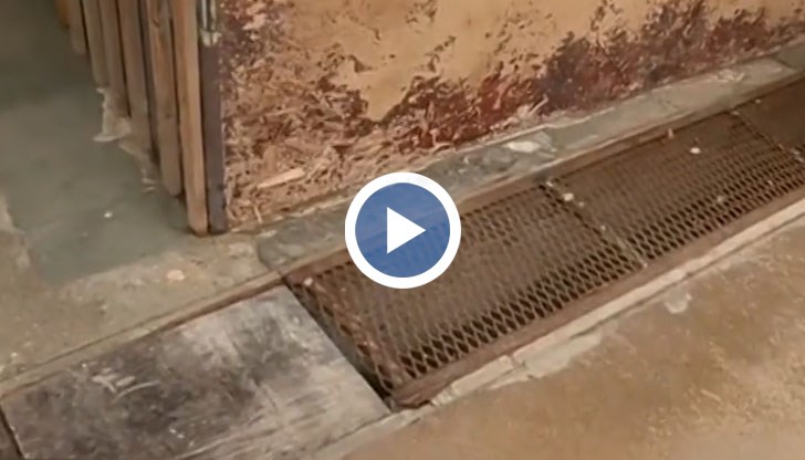 Кракът на жената е бил хванат в "капана" в продължение на час