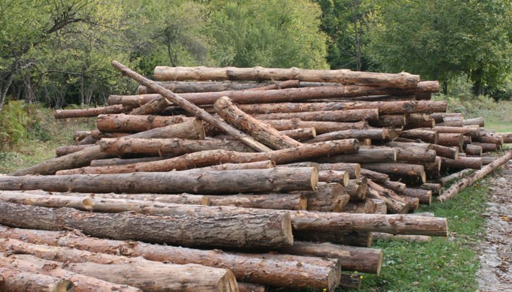 Има реална опасност хората да останат без дърва за огрев през зимата