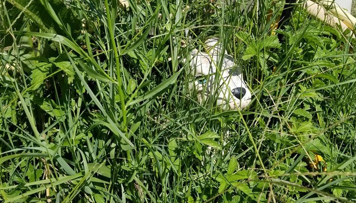 Къци Вапцаров се шегува със служителите на КАТ