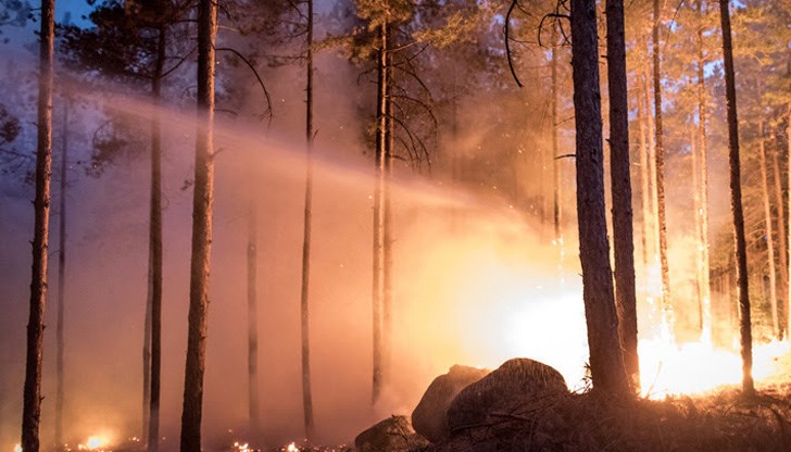 Инцидентът станал към 17:00 часа /Снимката е илюстративна/ Инцидентът станал към 17:00 часа /Снимката е илюстративна/