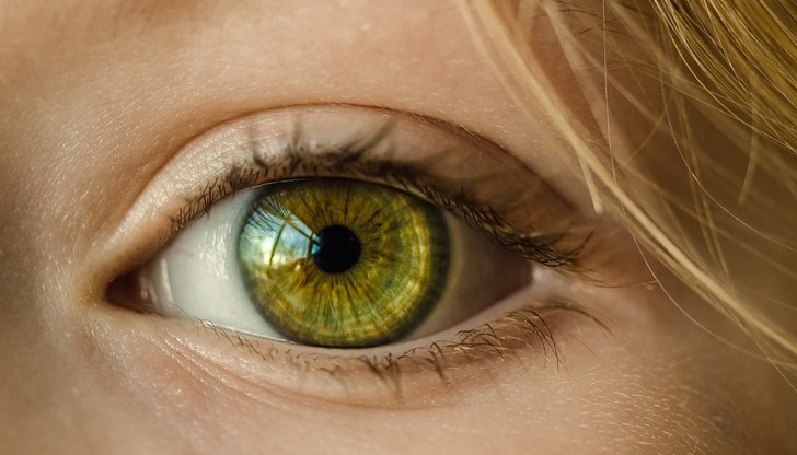 Не заслужаваш да получаваш похвали, награди, потупвания по рамото, че дори и усмивки Не заслужаваш да получаваш похвали, награди, потупвания по рамото, че дори и усмивки