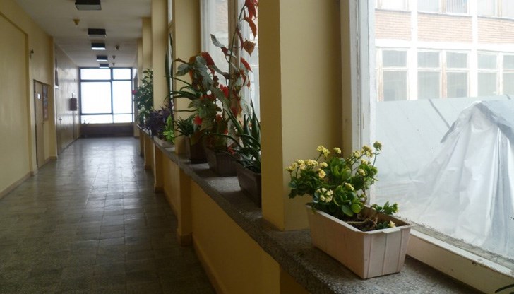 Какви са им оценките? Дали са ходили на училище? Кога има родителска среща и с какъв успех са? Какви са им оценките? Дали са ходили на училище? Кога има родителска среща и с какъв успех са?