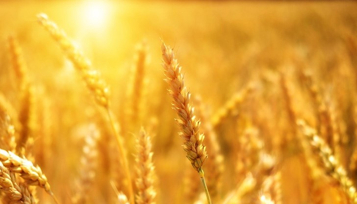 Това сочат данни на европейската служба "Коперник" за климатичните промени Това сочат данни на европейската служба "Коперник" за климатичните промени