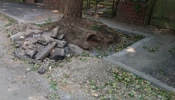 Изрязаният асфалт стои по улицата от 22.08.2019
