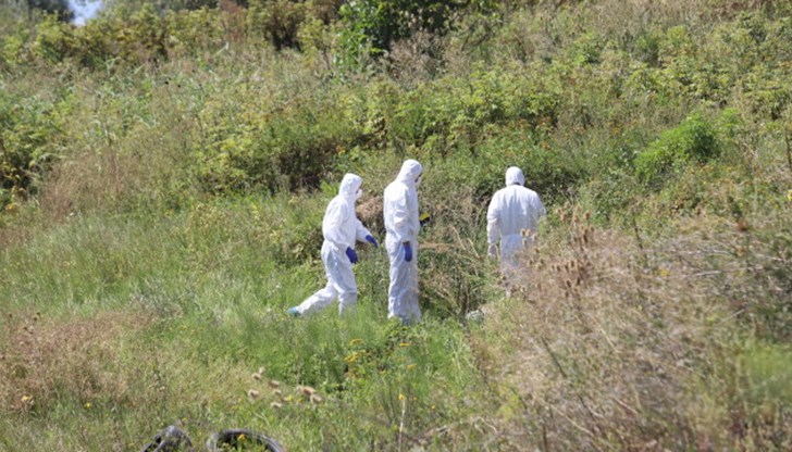 Мъжът и жената са живели на семейни начала в София Мъжът и жената са живели на семейни начала в София