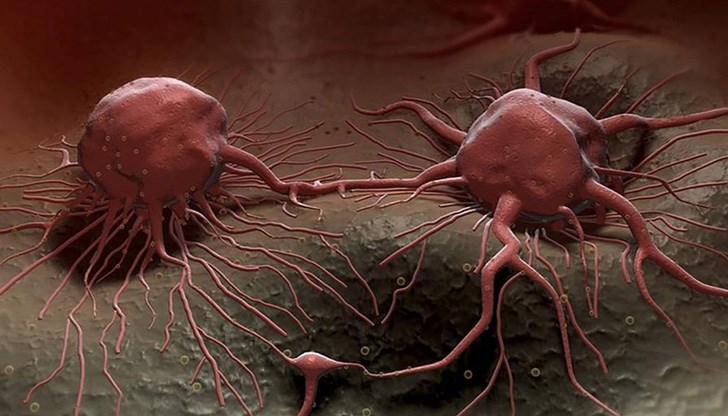 Дешифрирана е структурата на рецептор, който играе решаваща роля за миграцията на ракови клетки Дешифрирана е структурата на рецептор, който играе решаваща роля за миграцията на ракови клетки