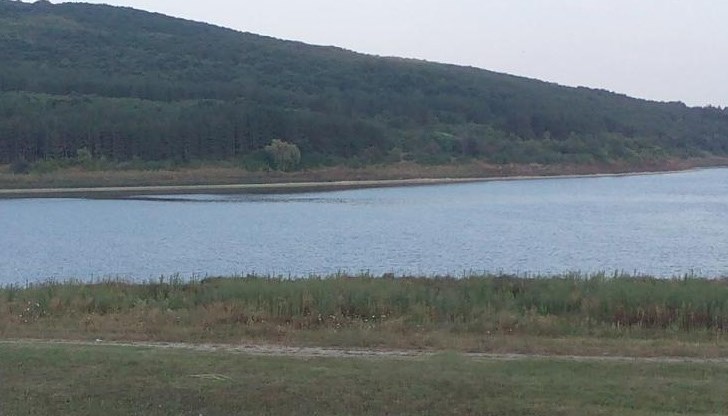 Момченцата са на възраст 5 и 8 години Момченцата са на възраст 5 и 8 години