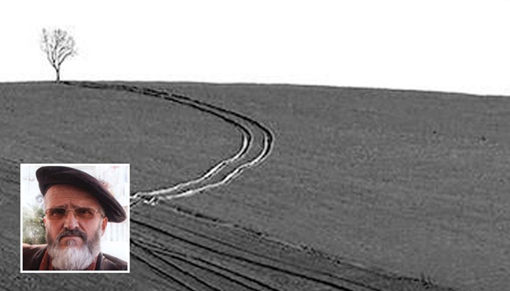 В надпреварата бяха допуснати над 4600 фотографии от 289 участници