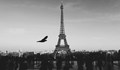Айфеловата кула ще потъне в мрак в памет на Жак Ширак