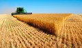 Румъния е най-големият износител на зърно в Европейския съюз