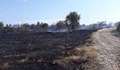 Пожар избухна в борова гора край мъглижко село