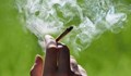 В Канбера легализираха марихуаната за лична употреба с развлекателна цел