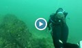 Започва проучването на подводна каменна гора край Созопол