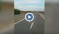 Камикадзе в насрещното движение на магистрала "Тракия"