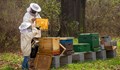 Пчеларите ще получат 4,5 милиона лева държавна помощ