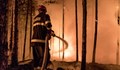 Нов пожар изпепели 1000 декара в Огражден планина
