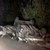 Тежка катастрофа на пътя Николово - Русе