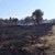 Пожар избухна в борова гора край мъглижко село